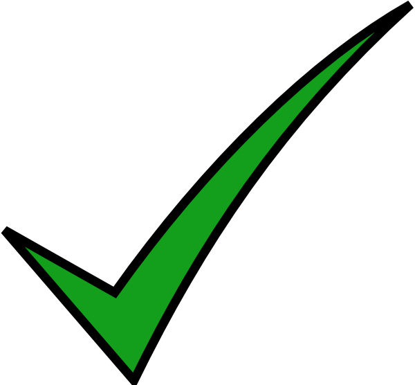 seo packages